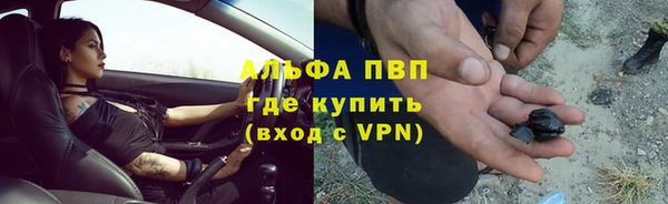 трава Абаза