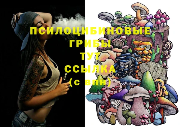 трава Абаза