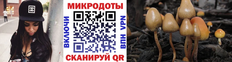Галлюциногенные грибы Psilocybe  Миллерово 